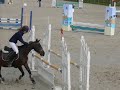 Les poneys du CHM en Folie ^^