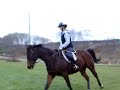 Schooling Tyner in the Dressage Ring