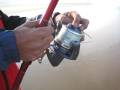 RAUL MARIO , PESCA SURFCASTING PICADAS 21/04/2009 ,,,PARGO ? CORVINA ? NO LINE !!! NO LINE !!!