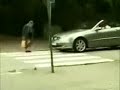 dont honk at old people.html