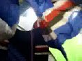 Modello Ultras Sampdoria Modello Ultras Sampdoria
