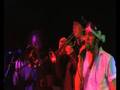Cheers (Live) - The Kamikazi Thunderkats