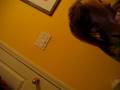 videos de double d darla