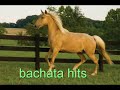 video musica cristiana Espiritu Santo-bachata hits-Yanrymond y Pedro Miguel