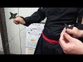 やすまる。忍者の手裏剣(伊賀流忍者店).MOV やすまる