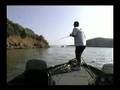 CHATTERBAIT FISH AT LAKE CASTAIC