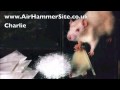 Charlie (I Want a Gram)