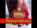 Allah'ın varlığına deliller