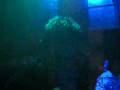en masia frances dj la lia!!