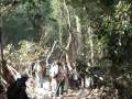 Seshachalam Trekking Part-6