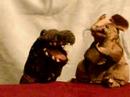 The Puppet Mockery Attacks LisaNova
