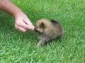 Awwww....how cute :)