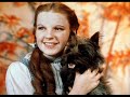 Wizard of Oz