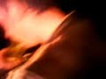 le-on-sur-comment-boire-une-bouteille-en-3-minutes-.html