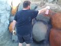 Colorizing the concrete
