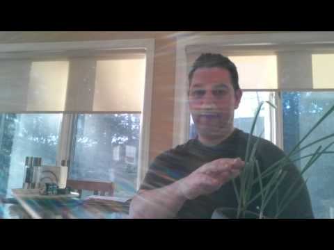 how to grow garlic indoors