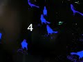 hyper beat