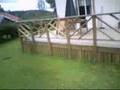 Copterx 450 FlyCamOne 2