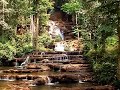 Travel Thailand Mae Sot Thailand National Park and Flowers
