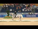 ORLOV'S TROTTING