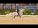 ORLOV'S TROTTING