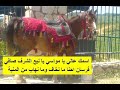 الصور تتكلم ضربة مؤلمة جدا لدار خطيب بعد علقتهم مع المواسي والبدو