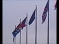 selebracion de los nacionalista en u.s.a por el gane en lamani