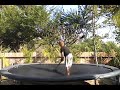 Tramp Scooter Tramp Scooter