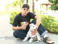 videos de Adestramento de Cães