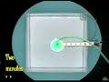 Experiment XIV: Thermohaline Circulation
