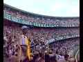 Império Alviverde - Camisão
