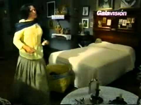 Alma Delfina