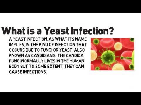 how to collect yeast from air