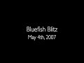 Bluefish Blitz