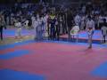 campionat european karate 2008 oradea
