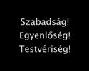Pozsonyi �d�m - Els? demokratikus k�nyv�get�si akci�