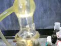 Exp o13