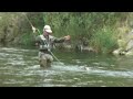 Flyfishing in Austria River Traisen near Vienna