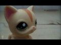 LPS Wolves and Cougars (part 3)