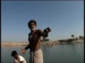 Ganges River Dolphin