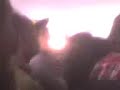 glasvegas live at glastonbury festival 08 full set part 3 glasvegas live at glastonbury festival 08 full set part 3