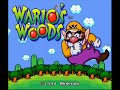 ENJOY THE MUSIC Wario\