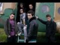Animal X - Sambure de drac