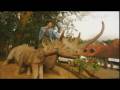 videos de S Club 7 - S Club 7 Go Wild! - Paul In Kenya (Episode 1) - Part One