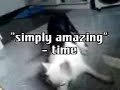dog-sex.html