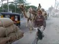 08 Rajasthan: Jodphur Jaiselmer