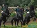 CABALLOS MENORQUINES -- MUCHOVIAJE