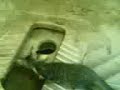 YouTubeサムネイル[msbVzz-qScA] - 2枚目