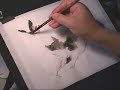 Calico (Tortoiseshell) Kitten Looking at a Butterfly Calico (Tortoiseshell) Kitten Looking at a Butterfly