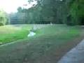 walking around
